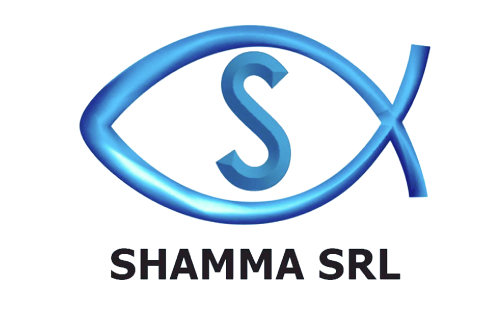 shamma